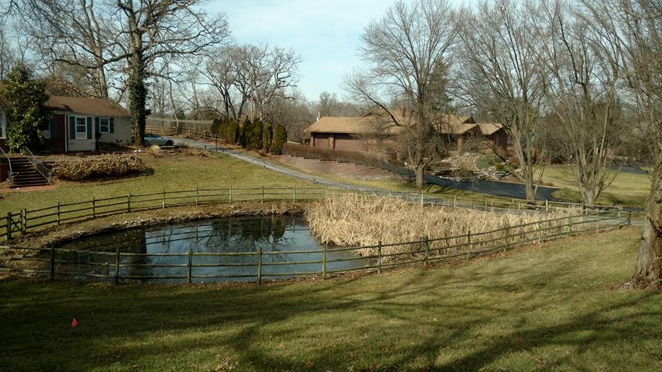 frontenac-pond-cleaning frontenac-pond-cleaning